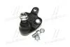 Фото 4 - опора шаровая нижняя Toyota Prius 03- Matrix 03-05 (выр-во) CTR CB0411 Опора шаровая нижняя Toyota Prius 03- Matrix 03-05 (выр-во) CTR CB0411 (фото 4)