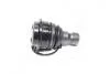 Опора шаровая л/п HYUNDAI SANTA FE I, II, TRAJET; KIA SORENTO II 2.0-2.7 03.00- CBKH-22