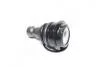 Опора кульова л/п HYUNDAI SANTA FE I, II, TRAJET; KIA SORENTO II 2.0-2.7 03.00- CTR CBKH-22 (фото 3)