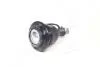 Фото 4 - опора шаровая NISSAN Vannete #C22 86-,#C120(1,2) -86,lower.F CTR CBN-9 Опора шаровая NISSAN Vannete #C22 86-,#C120(1,2) -86,lower.F CTR CBN-9 (фото 4)
