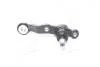 Опора шаров.Toyota Cresta #X10#,JZX10# 96-,#X9#,JZX9# -96 (пр-во CTR) CBT-44R