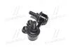 Фото 2 - стойка стаб передняя ось L Nissan X-Trail 01-13 (выр-во) CTR CL0450 Стойка стаб передняя ось L Nissan X-Trail 01-13 (выр-во) CTR CL0450 (фото 2)