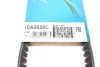 Ремень клиновой DAYCO 10A0625C (фото 6)