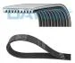 Дорожный пас 10PK2475HD