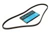 DAYCO Ремень 3PK719 3PK719