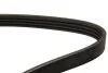 Ремінь генератора 1.4 8V rn,1.6 8V rn Renault Megane I 96-03 DAYCO 4PK1272 (фото 2)