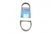 Ремень поликлиновый (пр-во DAYCO) 4PK690