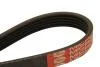 Пас поликлиновый DAYCO 5PK1050 (фото 2)