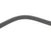 Ремінь поліклінової ALFA ROMEO Brera 05-10, 159 05-11, 159 (939) 05-11, 159 Sportwagon (939) 06-11 DAYCO 5PK1072S (фото 3)