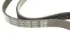 Ремень поликлиновый DAYCO 5PK1280 (фото 4)