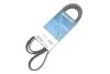 Pasek wielorowkowy DAYCO 5PK1810S (фото 2)