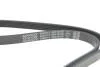 Pasek wielorowkowy DAYCO 5PK1810S (фото 4)