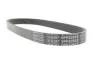 Ремень ручейковый Ford Mondeo/S-Max 2.5 i 06-15 DAYCO 5PK628EE (фото 3)