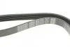 Ремень поликлиновый /1015 DAYCO 6PK1013 (фото 4)