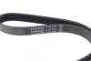 Ремень поликлиновой DAYCO 6PK1018 (фото 2)