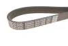 Pasek wielorowkowy DAYCO 6PK1100S (фото 3)