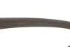 Pasek wielorowkowy DAYCO 6PK1100S (фото 4)