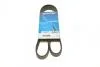 Ремень поликлиновый (6PK1217) DAYCO
