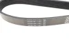 Пас поликлиновый DAYCO 6PK1240 (фото 2)