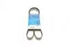 Ремень поликлиновый (пр-во DAYCO) 6PK1345