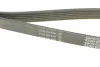 Ремінь поліклінової DAYCO 6PK1360S (фото 3)