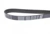 Ремень поликлиновой DAYCO 6PK1410S (фото 2)