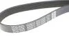 Ремінь генератора DAYCO 6PK1555S (фото 4)