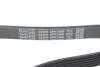 Ремень поликлиновый DAYCO 6PK1606 (фото 4)