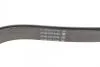 Ремінь генератора DAYCO 6PK1610HD (фото 3)