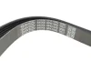 Пас поликлиновый DAYCO 6PK1640 (фото 2)
