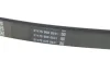 Пас поликлиновый DAYCO 6PK1640 (фото 3)