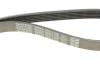 Пас поліклиновий DAYCO 6PK1725 (фото 5)
