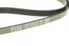 Ремень поликлиновый 6PK1863 DAYCO 6PK1865 (фото 4)