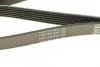 Пас поліклиновий DAYCO 6PK2020 (фото 4)