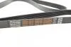 Ремінь генератора DAYCO 6PK2080HD (фото 3)
