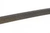 Ремень поликлиновый DAYCO 6PK2155S (фото 4)