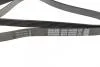 Ремень поликлиновый DAYCO 6PK2203 (фото 2)