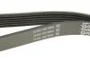 Фото 3 - ремень поликлиновой DAYCO 6PK2220K Ремень поликлиновой DAYCO 6PK2220K (фото 3)