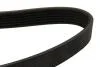 Пас поликлиновый DAYCO 6PK2280 (фото 2)