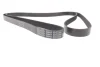 Пас поликлиновый DAYCO 6PK2280 (фото 3)