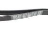 Ремень поликлиновый DAYCO 6PK2404 (фото 3)