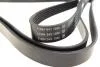 Пас поликлиновый DAYCO 6PK2525 (фото 2)