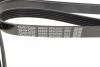 Пас поликлиновый DAYCO 6PK2525 (фото 3)