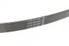 Ремень поликлиновый DAYCO 6PK915 (фото 3)