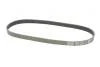 Ремінь полікліновий Audi 100 1.9-2.3 -90/ 80 2.3 -94// Hyundai H-1 2.5D 97-, H100 2.5D 93-00// Mazda 626 2.0D -96// Mitsubishi Pagero -00 DAYCO 6PK923 (фото 5)