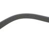 RENAULT Ремень поликлиновый (Elastic) DUSTER 1.6 15-, MEGANE IV 1.6 15- DAYCO 7PK1051EE (фото 3)