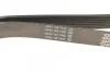 Ремінь генератора DAYCO 7PK1085S (фото 3)