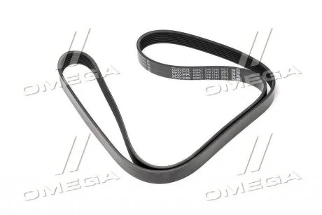 Ремень поликлиновый DAYCO 7PK1545