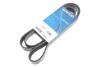 Ремень поликлиновый (Вы-во) DAYCO 7PK1741S (фото 2)