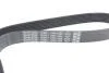 Ремень поликлиновый DAYCO 7PK1784 (фото 3)